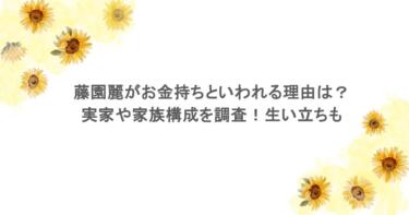 藤園麗がお金持ちといわれる理由は？実家や家族構成を調査！生い立ちも